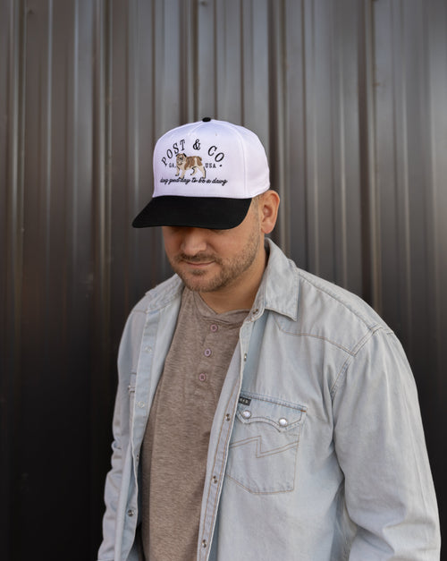 Dang Good Day to Be a Dawg, Post & Co. Hat (BLACK)